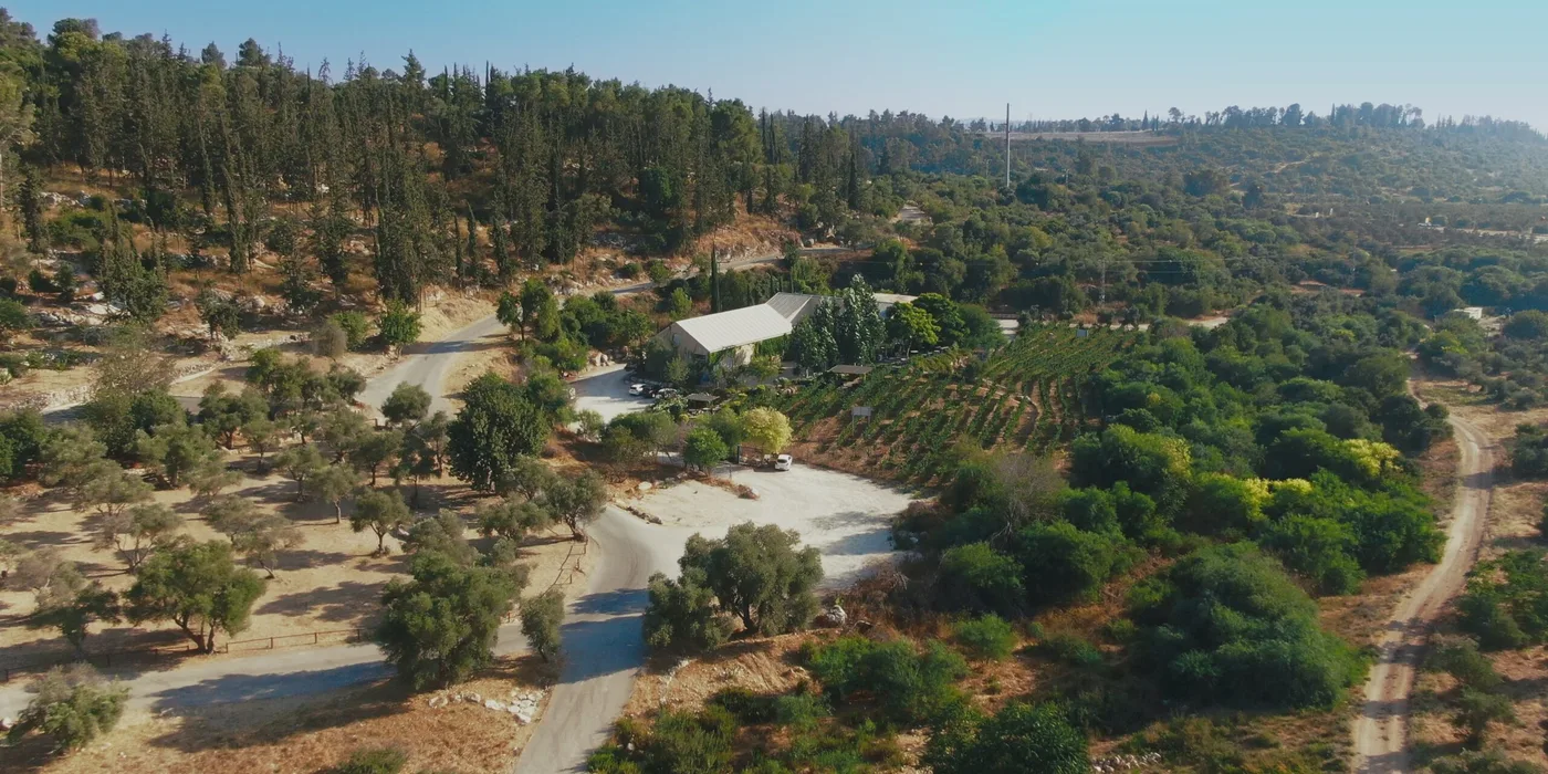 יקב משפחתי בהרי יהודה