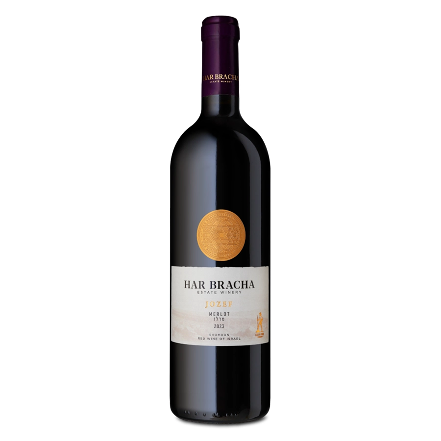 Jozef Merlot