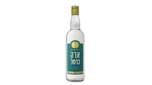 ארק כרמל